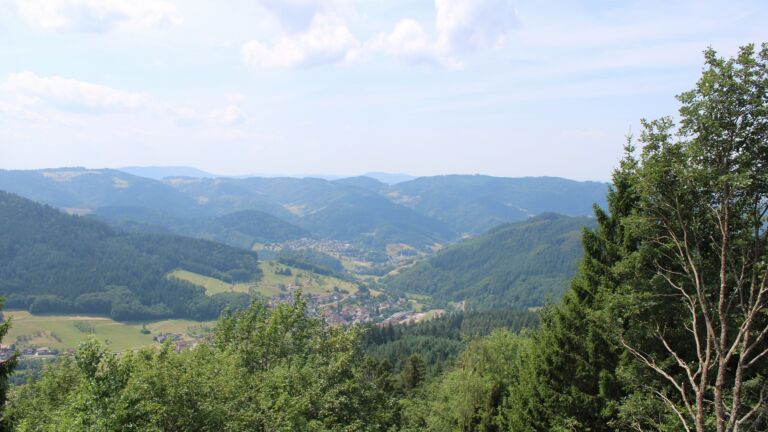 Dieses Bild zeigt eine Webcam-Aufnahme vom Achertal, aufgenommen am Donnerstag, den 16.07.2026 um 12:50 Uhr. Die Temperatur betrug 27.2°C.