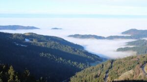 Dieses Bild zeigt eine Webcam-Aufnahme vom Achertal, aufgenommen am Donnerstag, den 05.02.2026 um 09:50 Uhr. Die Temperatur betrug 5.3°C.