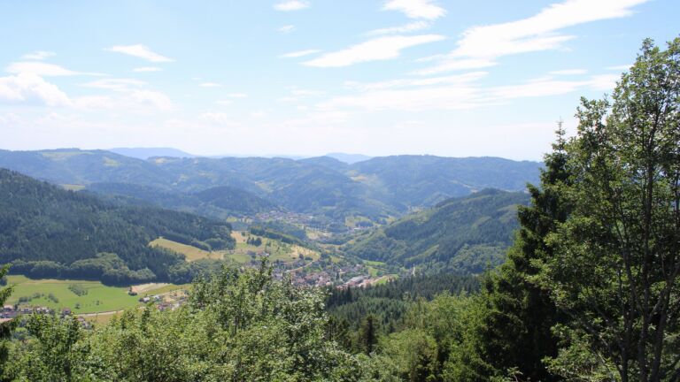 Dieses Bild zeigt eine Webcam-Aufnahme vom Achertal, aufgenommen am Mittwoch, den 17.06.2026 um 14:50 Uhr. Die Temperatur betrug 28°C.