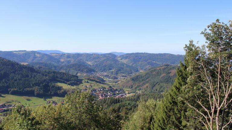 Dieses Bild zeigt eine Webcam-Aufnahme vom Achertal, aufgenommen am Samstag, den 12.09.2026 um 10:50 Uhr. Die Temperatur betrug 22.4°C.