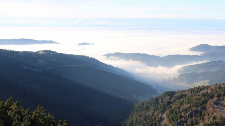 Dieses Bild zeigt eine Webcam-Aufnahme vom Achertal, aufgenommen am Mittwoch, den 03.12.2025 um 14:50 Uhr. Die Temperatur betrug 6.2°C.