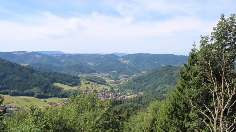 Dieses Bild zeigt eine Webcam-Aufnahme vom Achertal, aufgenommen am Montag, den 13.07.2026 um 11:20 Uhr. Die Temperatur betrug 25.6°C.
