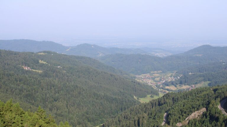 Dieses Bild zeigt eine Webcam-Aufnahme vom Achertal, aufgenommen am Samstag, den 14.06.2025 um 08:30 Uhr. Die Temperatur betrug 24.6°C.