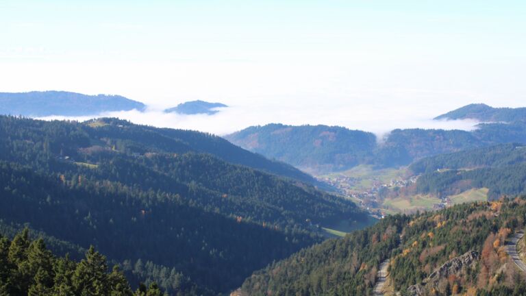 Dieses Bild zeigt eine Webcam-Aufnahme vom Achertal, aufgenommen am Samstag, den 08.11.2025 um 13:00 Uhr. Die Temperatur betrug 11.6°C.