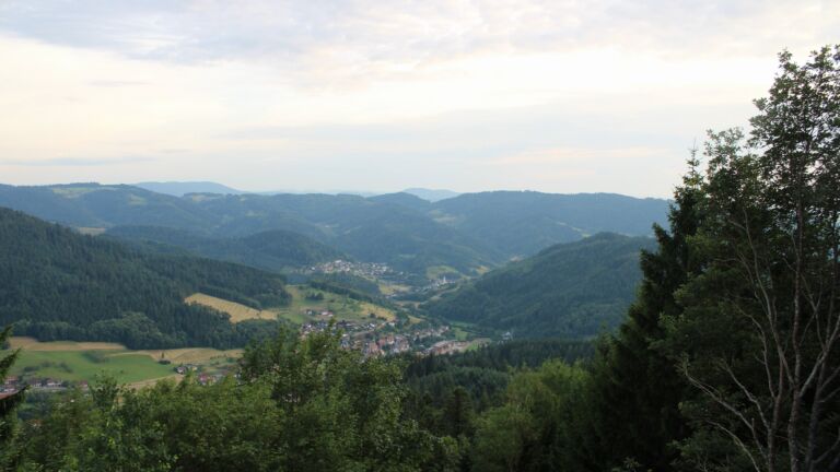 Dieses Bild zeigt eine Webcam-Aufnahme vom Achertal, aufgenommen am Montag, den 29.06.2026 um 20:50 Uhr. Die Temperatur betrug 22.9°C.
