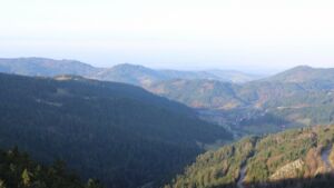 Dieses Bild zeigt eine Webcam-Aufnahme vom Achertal, aufgenommen am Freitag, den 12.12.2025 um 10:00 Uhr. Die Temperatur betrug 9.1°C.