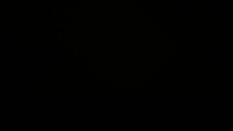 Dieses Bild zeigt eine Webcam-Aufnahme vom Achertal, aufgenommen am Donnerstag, den 20.11.2025 um 05:50 Uhr. Die Temperatur betrug -3.1°C.