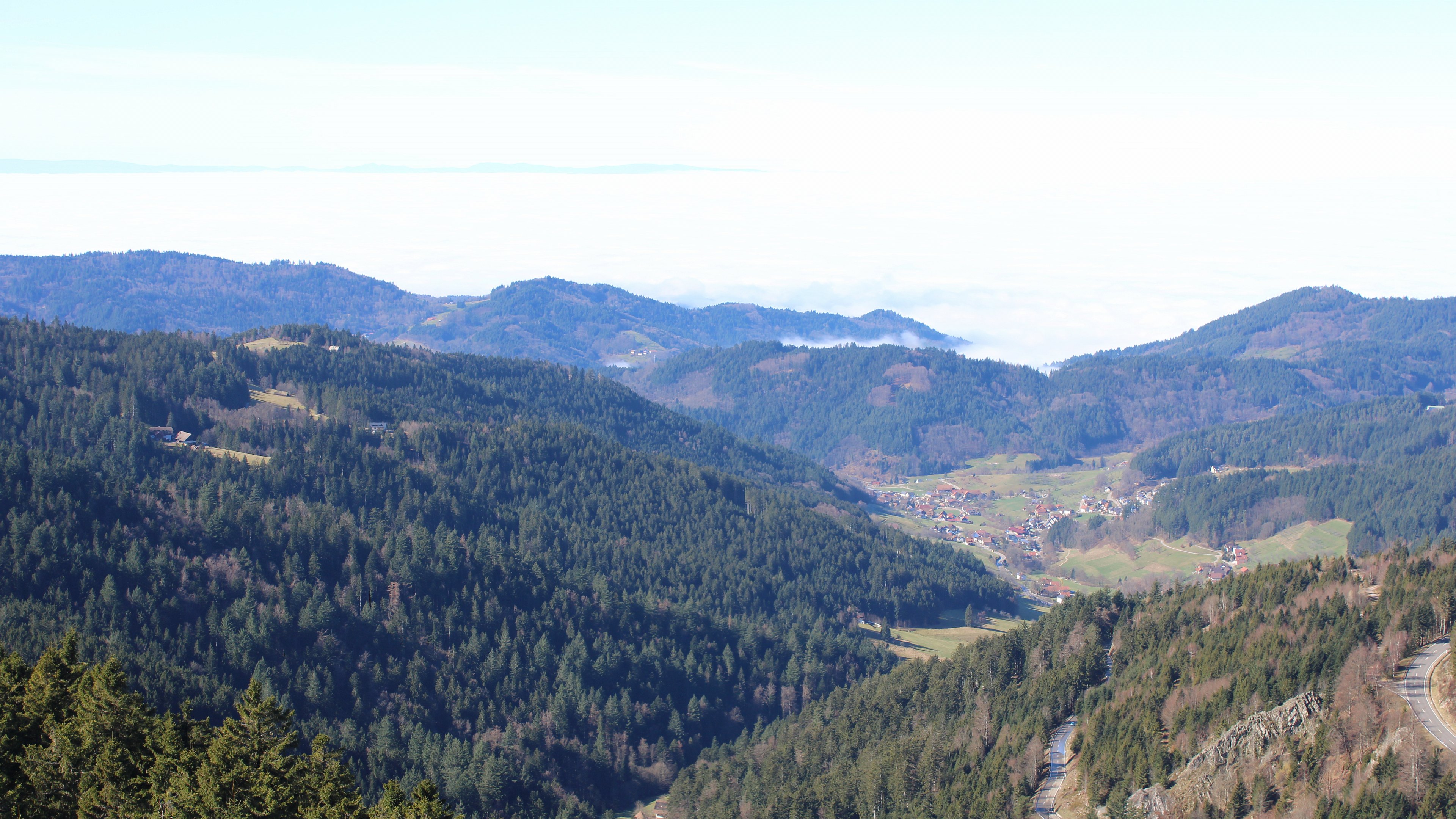 Zum Fotoarchiv vom Mittwoch, 25. Februar 2026