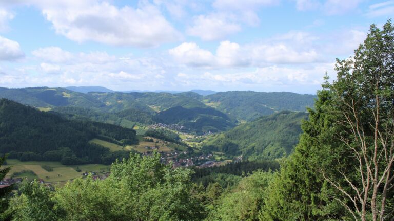 Dieses Bild zeigt eine Webcam-Aufnahme vom Achertal, aufgenommen am Freitag, den 05.06.2026 um 10:50 Uhr. Die Temperatur betrug 12.2°C.