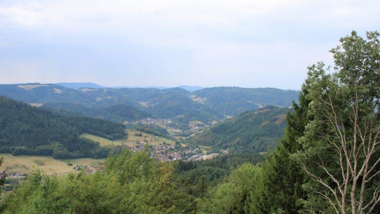 Dieses Bild zeigt eine Webcam-Aufnahme vom Achertal, aufgenommen am Samstag, den 15.08.2026 um 11:30 Uhr. Die Temperatur betrug 28°C.