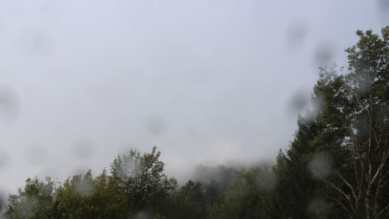 Dieses Bild zeigt eine Webcam-Aufnahme vom Achertal, aufgenommen am Mittwoch, den 14.10.2026 um 10:00 Uhr. Die Temperatur betrug 11.7°C.