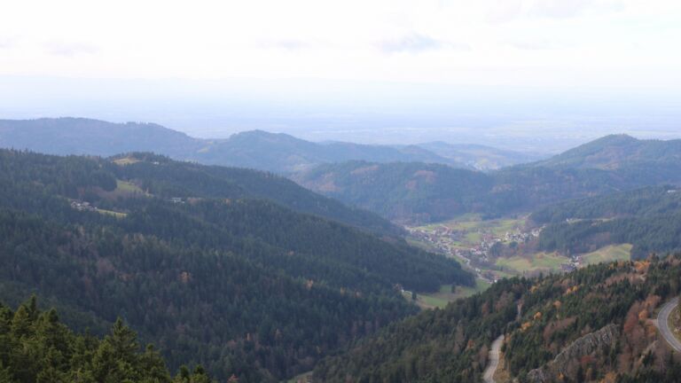 Dieses Bild zeigt eine Webcam-Aufnahme vom Achertal, aufgenommen am Dienstag, den 11.11.2025 um 14:20 Uhr. Die Temperatur betrug 8.4°C.