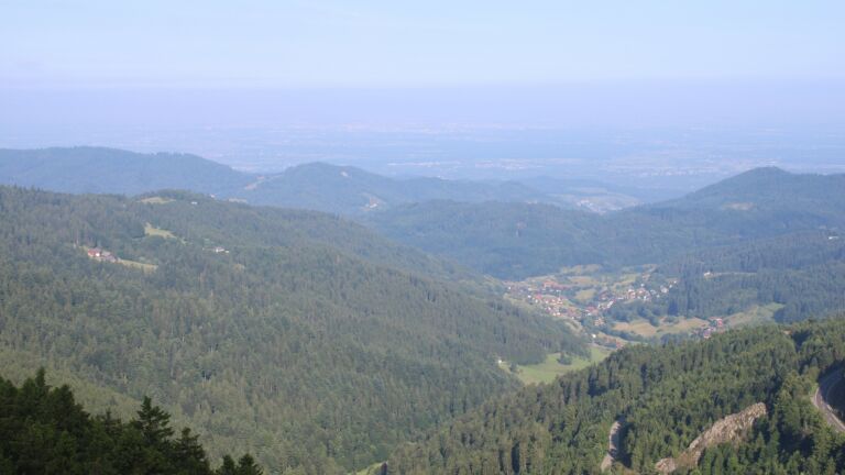 Dieses Bild zeigt eine Webcam-Aufnahme vom Achertal, aufgenommen am Mittwoch, den 11.06.2025 um 08:30 Uhr. Die Temperatur betrug 11.3°C.