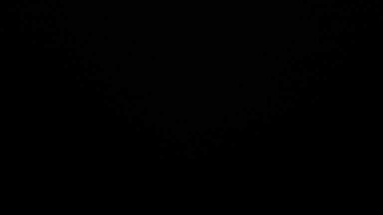 Dieses Bild zeigt eine Webcam-Aufnahme vom Achertal, aufgenommen am Samstag, den 29.11.2025 um 03:00 Uhr. Die Temperatur betrug 3.4°C.