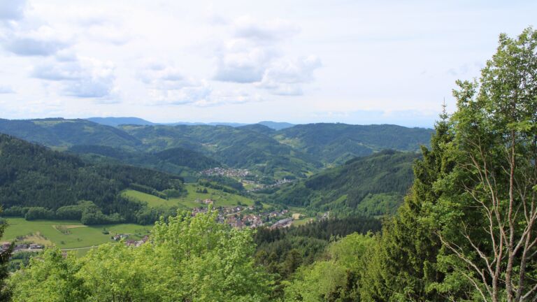Dieses Bild zeigt eine Webcam-Aufnahme vom Achertal, aufgenommen am Sonntag, den 17.05.2026 um 11:50 Uhr. Die Temperatur betrug 13°C.