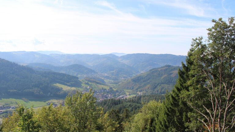 Dieses Bild zeigt eine Webcam-Aufnahme vom Achertal, aufgenommen am Samstag, den 03.10.2026 um 12:50 Uhr. Die Temperatur betrug 21.2°C.