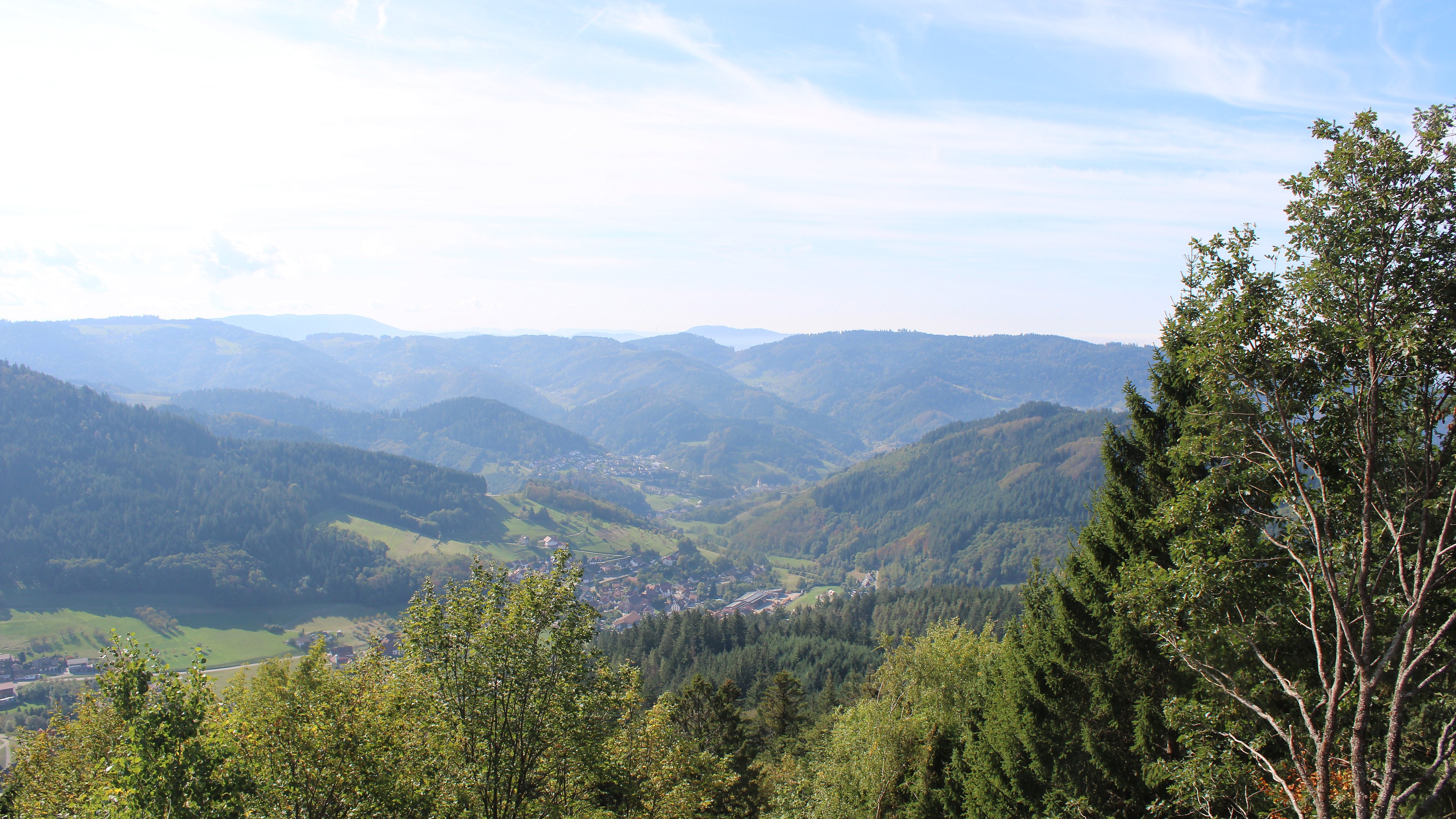 Zum Fotoarchiv vom Samstag, 3. Oktober 2026