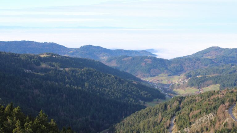 Dieses Bild zeigt eine Webcam-Aufnahme vom Achertal, aufgenommen am Mittwoch, den 03.12.2025 um 11:20 Uhr. Die Temperatur betrug 5.6°C.