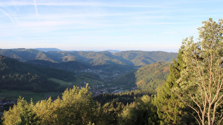 Dieses Bild zeigt eine Webcam-Aufnahme vom Achertal, aufgenommen am Freitag, den 25.09.2026 um 08:10 Uhr. Die Temperatur betrug 11.5°C.