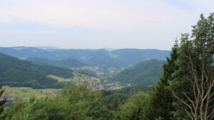 Dieses Bild zeigt eine Webcam-Aufnahme vom Achertal, aufgenommen am Mittwoch, den 15.07.2026 um 08:50 Uhr. Die Temperatur betrug 22.5°C.