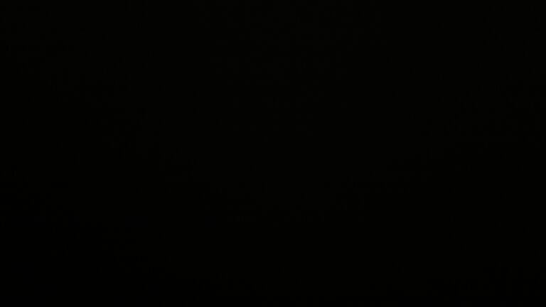 Dieses Bild zeigt eine Webcam-Aufnahme vom Achertal, aufgenommen am Montag, den 23.02.2026 um 23:00 Uhr. Die Temperatur betrug 4.3°C.