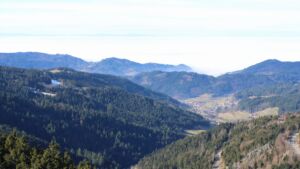 Dieses Bild zeigt eine Webcam-Aufnahme vom Achertal, aufgenommen am Donnerstag, den 05.02.2026 um 12:20 Uhr. Die Temperatur betrug 7.4°C.