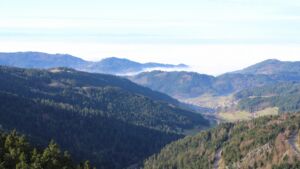 Dieses Bild zeigt eine Webcam-Aufnahme vom Achertal, aufgenommen am Mittwoch, den 03.12.2025 um 12:00 Uhr. Die Temperatur betrug 5.2°C.