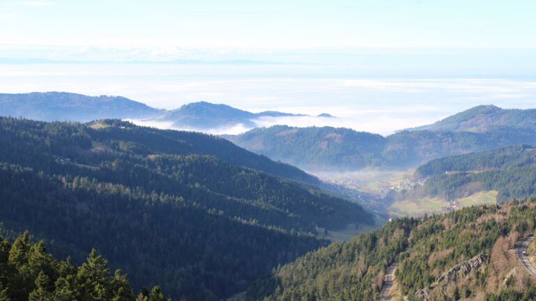 Dieses Bild zeigt eine Webcam-Aufnahme vom Achertal, aufgenommen am Mittwoch, den 03.12.2025 um 13:00 Uhr. Die Temperatur betrug 5.8°C.