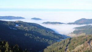 Dieses Bild zeigt eine Webcam-Aufnahme vom Achertal, aufgenommen am Donnerstag, den 05.02.2026 um 10:00 Uhr. Die Temperatur betrug 5.2°C.