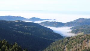 Dieses Bild zeigt eine Webcam-Aufnahme vom Achertal, aufgenommen am Sonntag, den 21.12.2025 um 12:30 Uhr. Die Temperatur betrug 7.2°C.