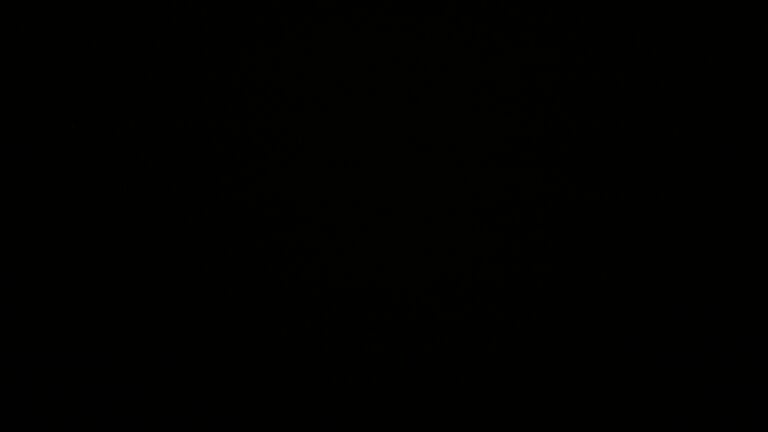 Dieses Bild zeigt eine Webcam-Aufnahme vom Achertal, aufgenommen am Donnerstag, den 20.11.2025 um 03:30 Uhr. Die Temperatur betrug -2.3°C.