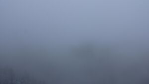 Dieses Bild zeigt eine Webcam-Aufnahme vom Achertal, aufgenommen am Montag, den 24.11.2025 um 14:40 Uhr. Die Temperatur betrug 0.3°C.