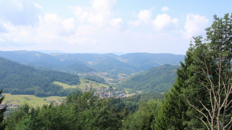 Dieses Bild zeigt eine Webcam-Aufnahme vom Achertal, aufgenommen am Samstag, den 18.07.2026 um 11:50 Uhr. Die Temperatur betrug 22.2°C.