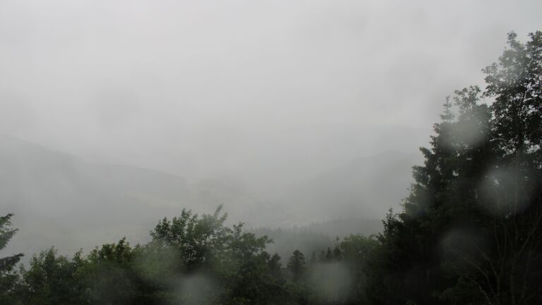 Dieses Bild zeigt eine Webcam-Aufnahme vom Achertal, aufgenommen am Montag, den 08.06.2026 um 17:10 Uhr. Die Temperatur betrug 16.4°C.