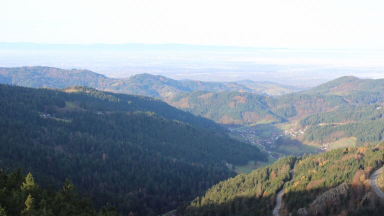 Dieses Bild zeigt eine Webcam-Aufnahme vom Achertal, aufgenommen am Mittwoch, den 12.11.2025 um 09:10 Uhr. Die Temperatur betrug 11.5°C.