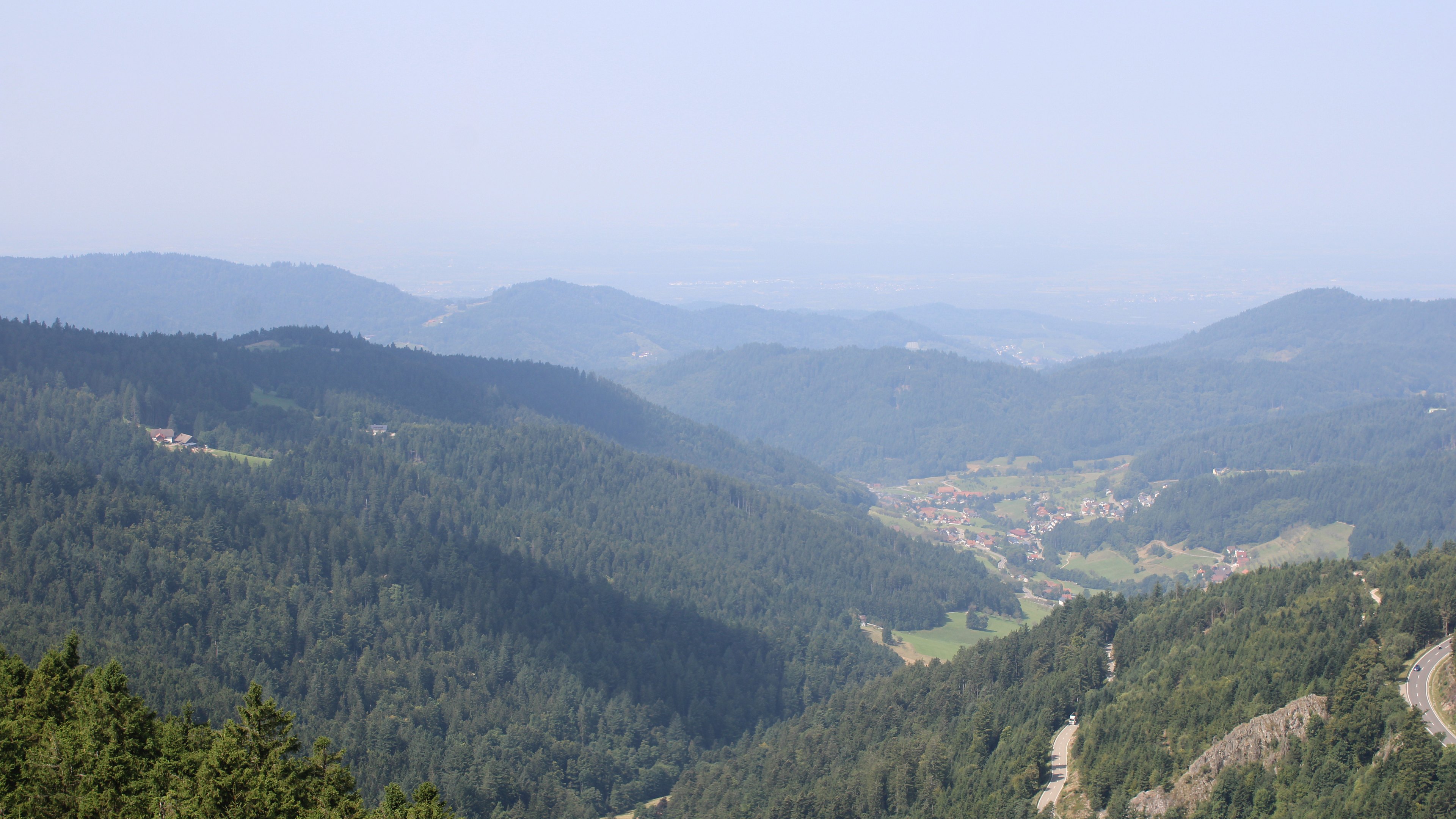 Zum Fotoarchiv vom Freitag, 15. August 2025
