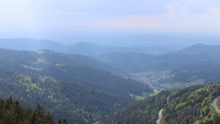 Dieses Bild zeigt eine Webcam-Aufnahme vom Achertal, aufgenommen am Donnerstag, den 08.05.2025 um 16:50 Uhr. Die Temperatur betrug 8.5°C.