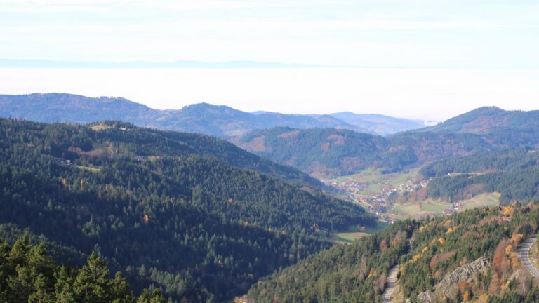 Dieses Bild zeigt eine Webcam-Aufnahme vom Achertal, aufgenommen am Donnerstag, den 06.11.2025 um 11:30 Uhr. Die Temperatur betrug 12.1°C.