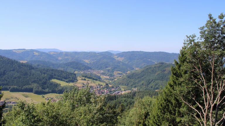 Dieses Bild zeigt eine Webcam-Aufnahme vom Achertal, aufgenommen am Dienstag, den 28.07.2026 um 11:50 Uhr. Die Temperatur betrug 23.7°C.