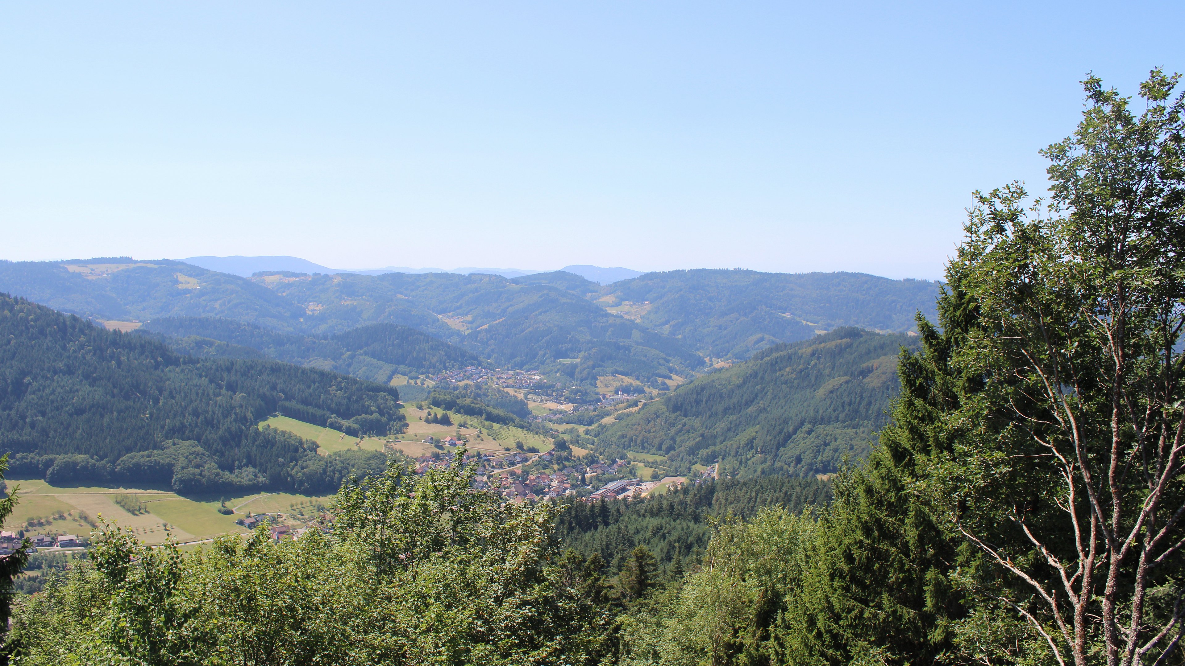 Zum Fotoarchiv vom Dienstag, 28. Juli 2026