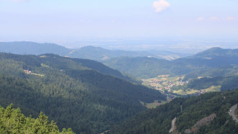 Dieses Bild zeigt eine Webcam-Aufnahme vom Achertal, aufgenommen am Freitag, den 11.07.2025 um 11:20 Uhr. Die Temperatur betrug 16.5°C.