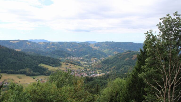 Dieses Bild zeigt eine Webcam-Aufnahme vom Achertal, aufgenommen am Mittwoch, den 19.08.2026 um 11:00 Uhr. Die Temperatur betrug 20°C.