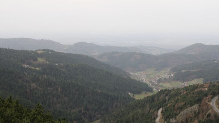 Dieses Bild zeigt eine Webcam-Aufnahme vom Achertal, aufgenommen am Freitag, den 14.11.2025 um 11:20 Uhr. Die Temperatur betrug 16.2°C.