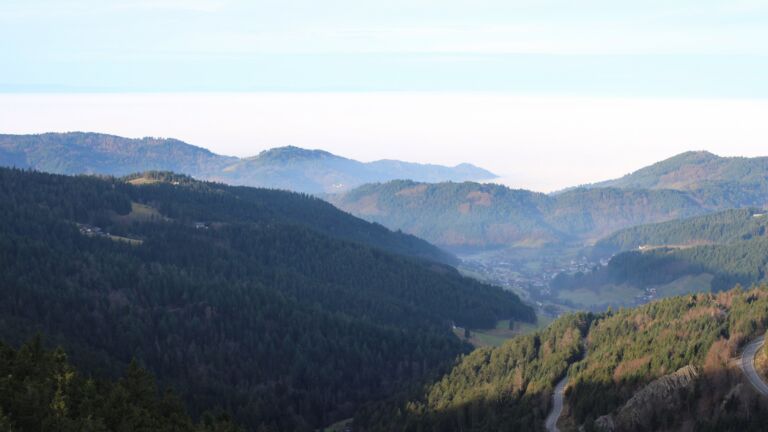 Dieses Bild zeigt eine Webcam-Aufnahme vom Achertal, aufgenommen am Dienstag, den 16.12.2025 um 09:50 Uhr. Die Temperatur betrug 10.5°C.