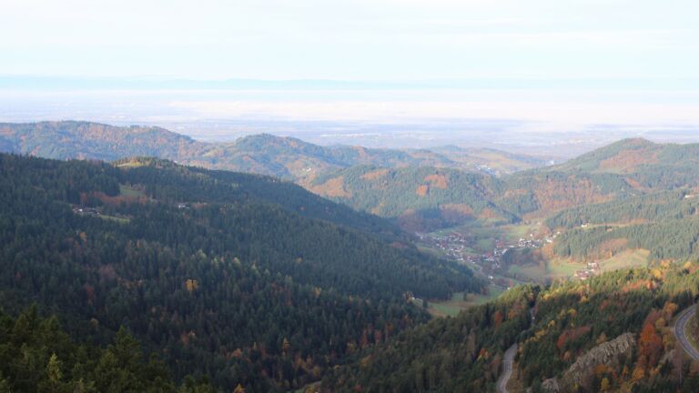 Dieses Bild zeigt eine Webcam-Aufnahme vom Achertal, aufgenommen am Freitag, den 31.10.2025 um 08:30 Uhr. Die Temperatur betrug 9.5°C.