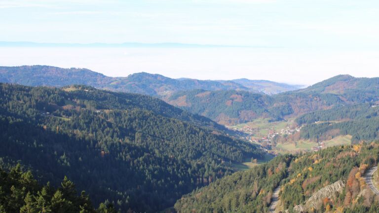 Dieses Bild zeigt eine Webcam-Aufnahme vom Achertal, aufgenommen am Donnerstag, den 06.11.2025 um 10:20 Uhr. Die Temperatur betrug 11.1°C.