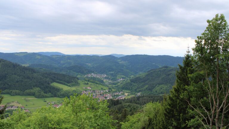 Dieses Bild zeigt eine Webcam-Aufnahme vom Achertal, aufgenommen am Mittwoch, den 13.05.2026 um 13:30 Uhr. Die Temperatur betrug 8.1°C.