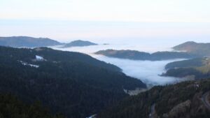 Dieses Bild zeigt eine Webcam-Aufnahme vom Achertal, aufgenommen am Donnerstag, den 22.01.2026 um 09:00 Uhr. Die Temperatur betrug 5.4°C.