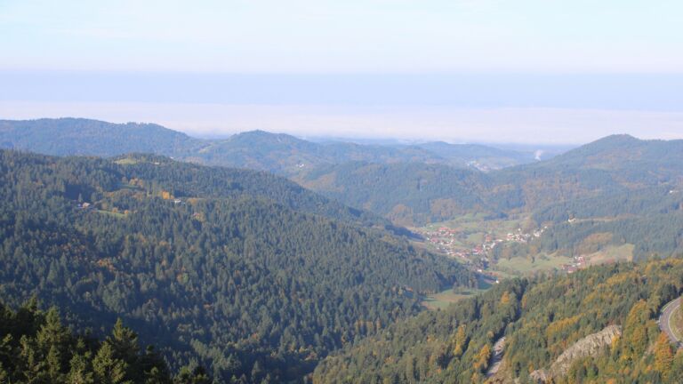 Dieses Bild zeigt eine Webcam-Aufnahme vom Achertal, aufgenommen am Freitag, den 10.10.2025 um 10:00 Uhr. Die Temperatur betrug 10.2°C.