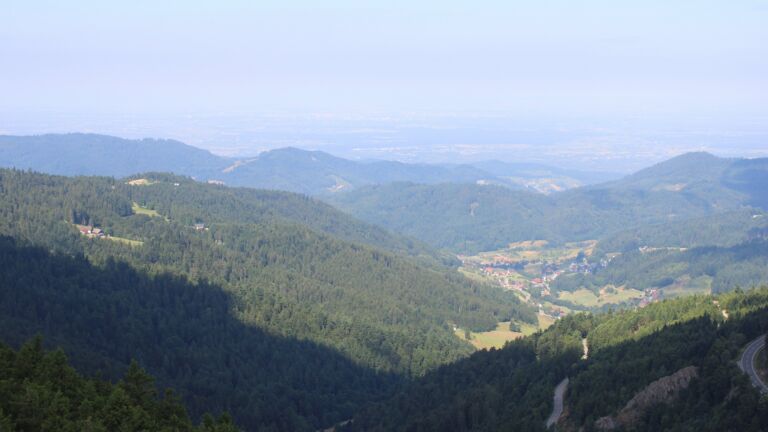 Dieses Bild zeigt eine Webcam-Aufnahme vom Achertal, aufgenommen am Freitag, den 11.07.2025 um 10:50 Uhr. Die Temperatur betrug 15.6°C.
